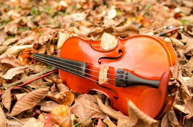 Viool instrument in droge herfst bladeren.