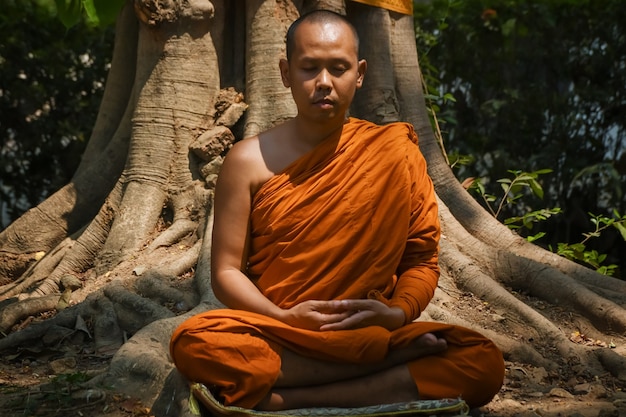 Photo vipassana meditation it is the activity of the monks that must be done in buddhism.