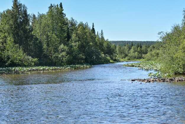 Virgin Komi Forests is een UNESCO-werelderfgoed