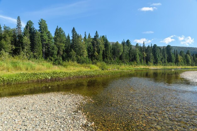 Virgin Komi forests