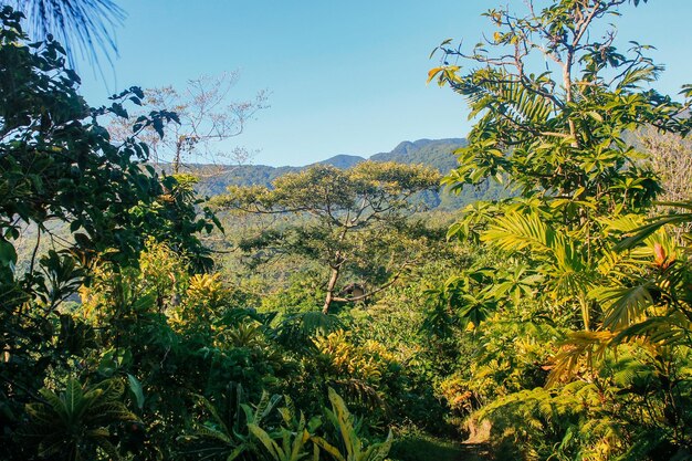 The virgin nature of New Caledonia with its beautiful landscapes