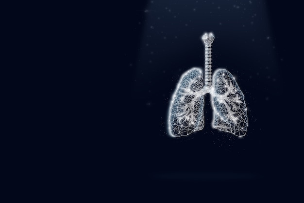 Virtual Human Lungs on dark blue background. on dark blue background. Low poly, copy space.