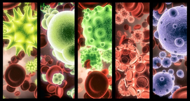 Virus bacteria and cell structure of disease closeup in series for medical investigation or research Covid particle and healthcare with a microscope view of living molecule samples for biology