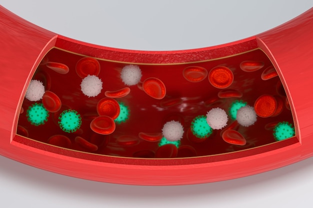 Photo virus in the blood vessel with red and white blood cells 3d rendering