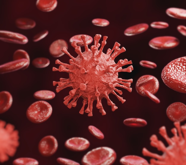 Virus infection In the circulation circulating in red blood cells.