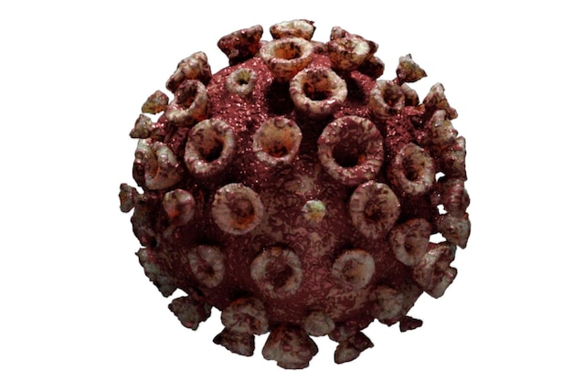 Virus variant coronavirus omicron Covid19