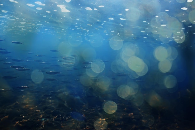 vis onderwater ondiepte, abstracte achtergrond natuur zee oceaan ecosysteem