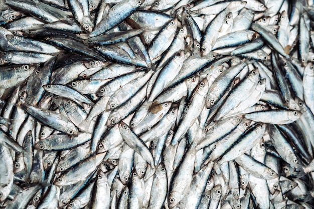Vis sprot op de vismarkt. Verse biologische vis.