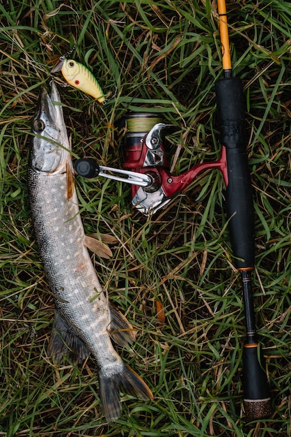 Vissen in de rivier, vissen op het gras