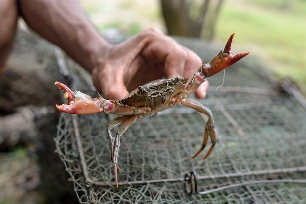 Visser en zijn krab