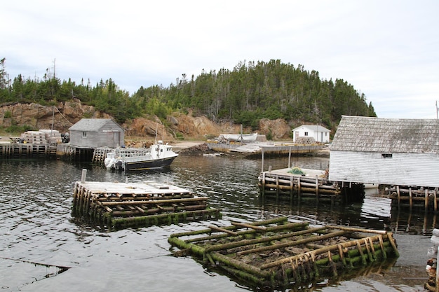 Foto visserijfasen of -hutten in de haven van newfoundland