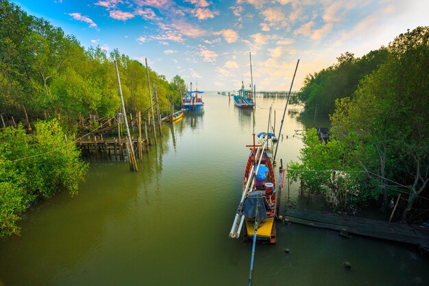 Vissersboot verankerd tussen mangrovebos