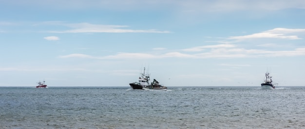 Vissersboten die op volle zee vissen