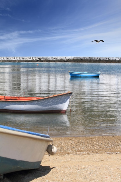 Vissersboten in de haven van het eiland Mykonos