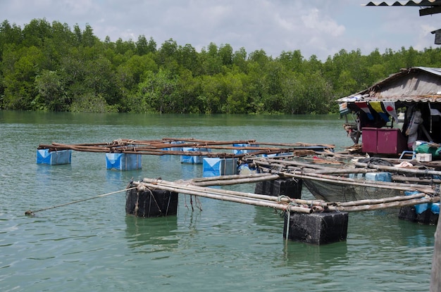 Vist onderwaterviskooien of gekweekte vissen in netkooien op de zee bij Bang Rong Pier in Phuket Thailand