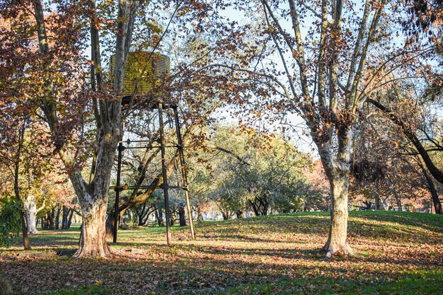 Photo vista del parque unzue en gualeguaychu