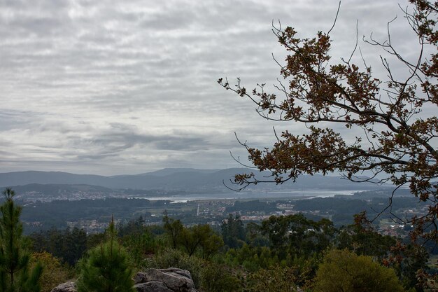 Photo vista del rosal desde los molinos del folon y picon