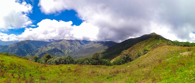 Photo vista panoramica del bosque monte potrero umari pachitea peru