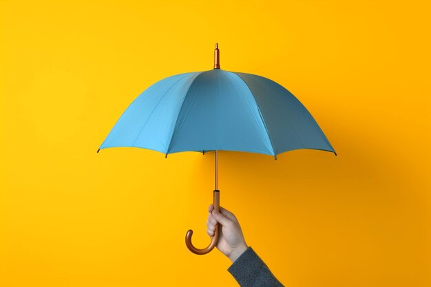 Visual of umbrella