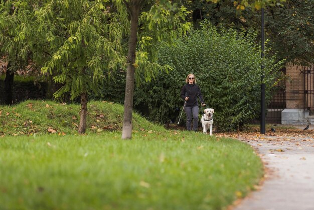 Photo visually impaired woman walking along city park with a guide dog assistance loyal companions for