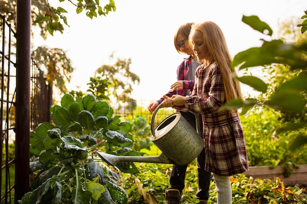 Vitamine. felice fratello e sorella che innaffiano le piante in un giardino all'aperto insieme. amore, famiglia, stile di vita, raccolto, concetto autunnale. allegro, sano e adorabile. alimenti biologici, agricoltura, giardinaggio.