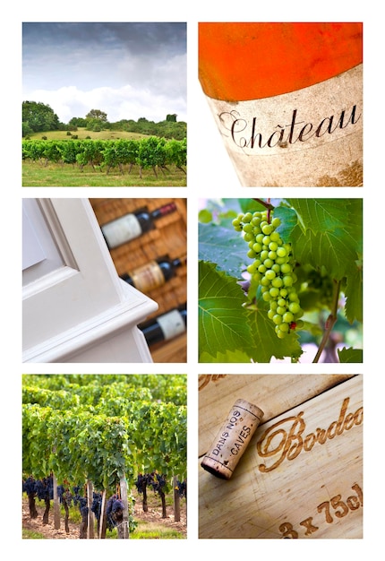 Виноградарство на юго-западе Франции