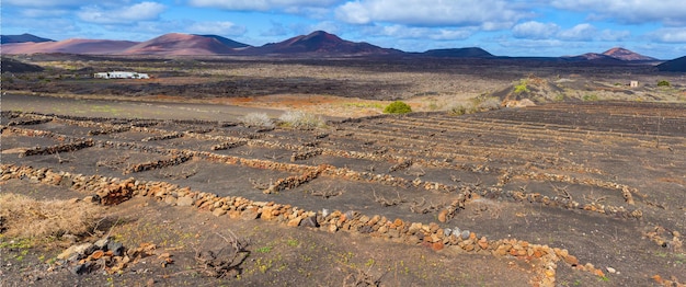 포도 재배 와이너리 Lanzarote