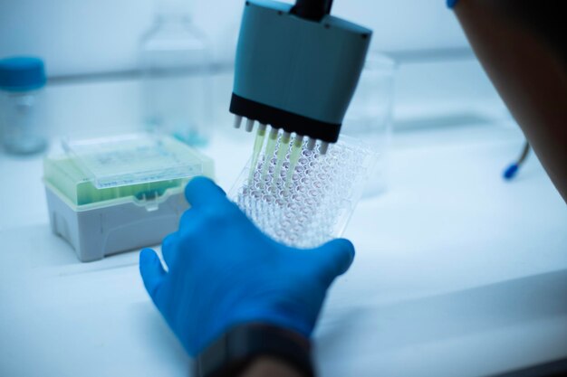 Photo in vitro cellular assay using multi pipette and well plate cell culture