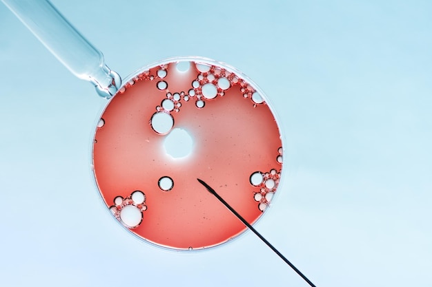 in vitro fertilisation concept artificial insemination or fertility treatment macro photography