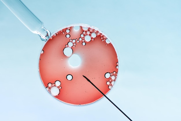 In vitro fertilisation concept Artificial insemination or fertility treatment macro photography