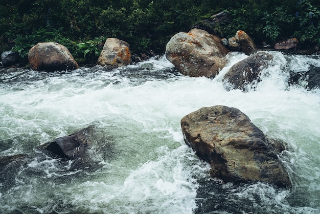 Vivid beautiful landscape with big boulders in clear water of powerful mountain river near wild thickets. Colorful scenery of rapids on transparent water of mountain creek and wild flora of mountains.