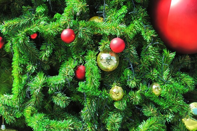 Vivid Decorative Balls on Christmas Tree