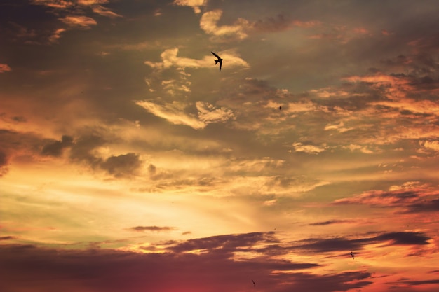 写真 カラフルな雲と鳥のシルエットの鮮やかな劇的な夕暮れの夕焼け空