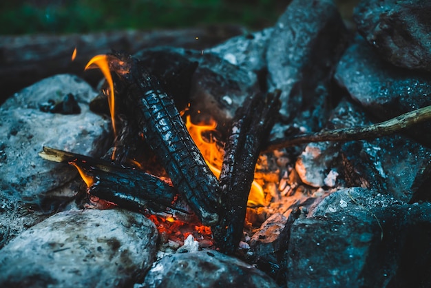 Яркие тлеющие дрова сгорели в огне крупным планом
