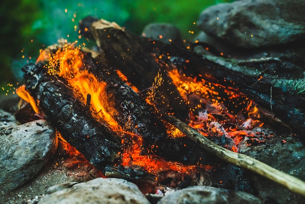 Vivid smoldered firewoods burned in fire closeup.