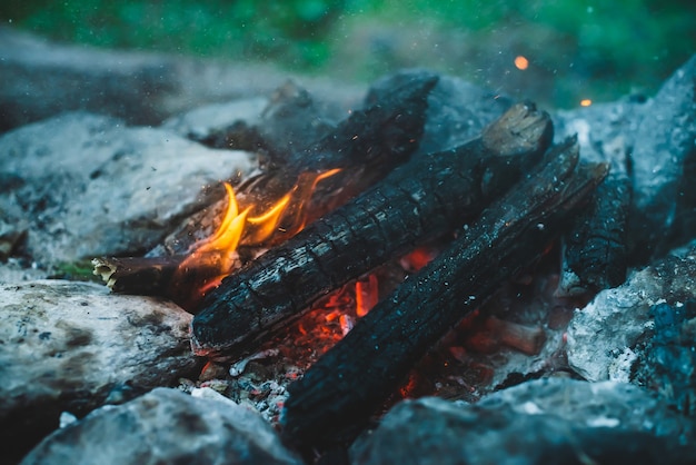 Vivid smoldered firewoods burned in fire closeup.