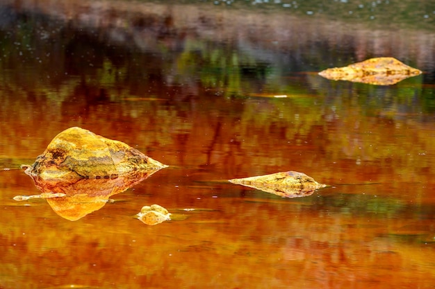 Vivid Strata and Cracked Earth at Rio Tinto