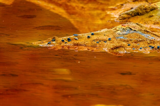 Vivid Strata and Cracked Earth at Rio Tinto