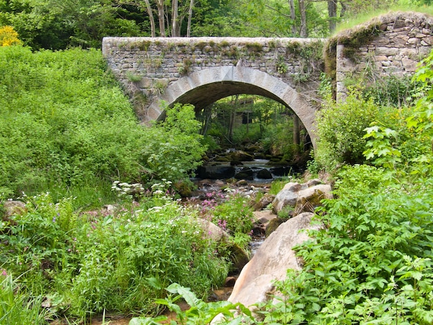 Vizezysaint bonnet le coureauloirefrance