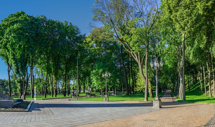 Фотография парк владимирская горка в киеве, украина, солнечным летним утром