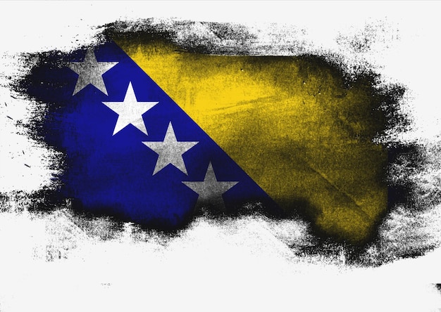 Vlag van bosnië en herzegovina geschilderd met penseel