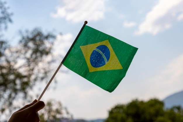 Vlag van brazilië in brasileiro-hand