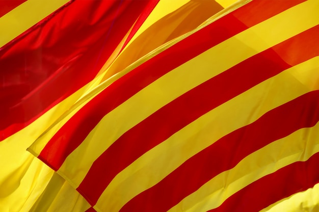 Vlag van catalonië