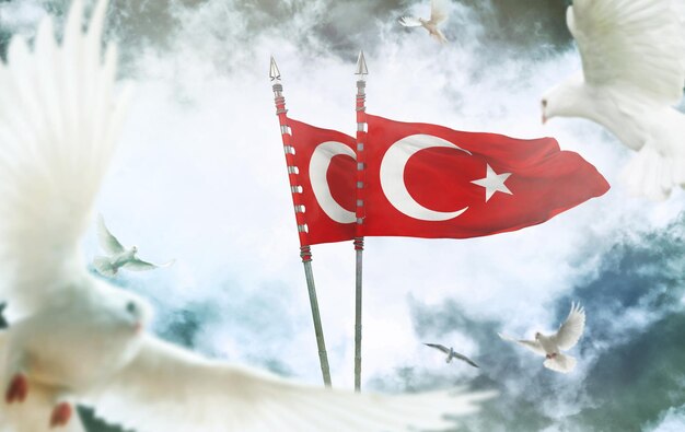 Vlag van de Turkse Republiek Turkije Istanbul Turkije