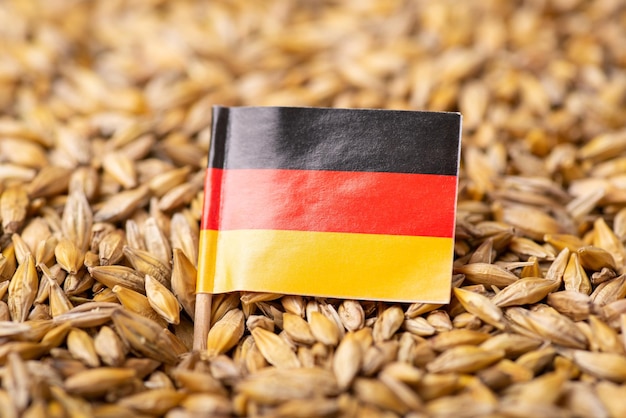 Vlag van Duitsland op gerstekorrel