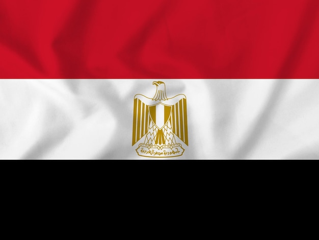 Vlag van Egypte op stofachtige achtergrond