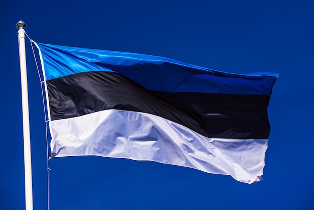 Vlag van Estland over wuivende blauwe lucht, abstracte patriottische achtergrond