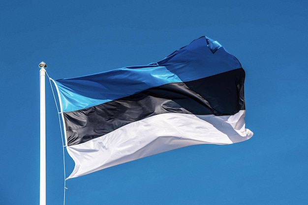 Vlag van estland