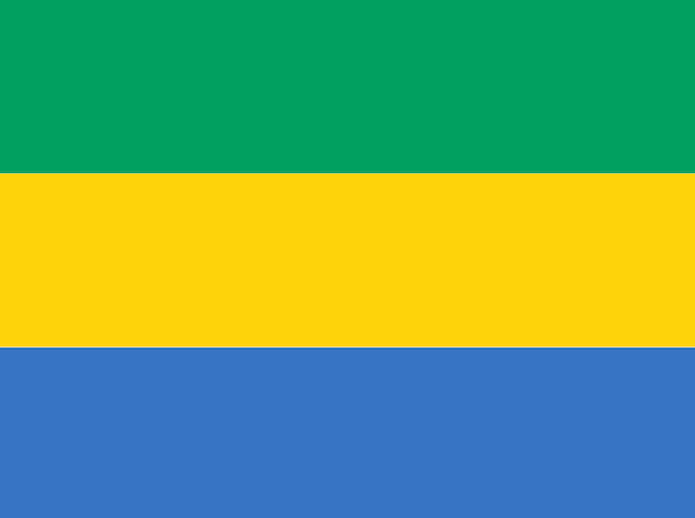 Vlag van gabon