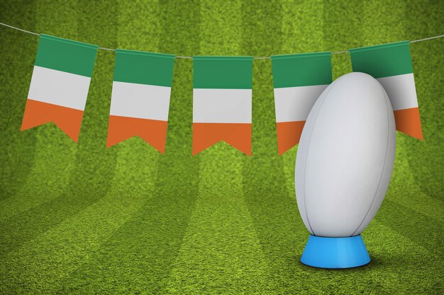 Vlag van Ierland met een rugbybal en pitch 3D Rendering